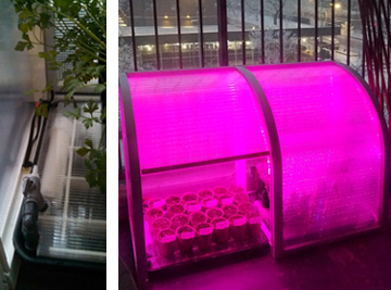 Grow-Shield field app